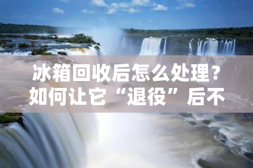 冰箱回收后怎么处理？如何让它“退役”后不成为环境污染的源头？这是一个需要我们关注和思考的问题。