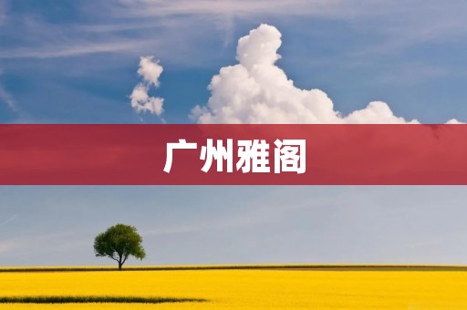 广州雅阁：让你感受极致的驾驶体验