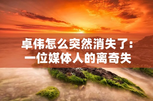 卓伟怎么突然消失了: 一位媒体人的离奇失踪