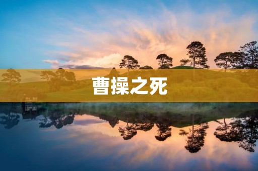 曹操之死:权力的终结