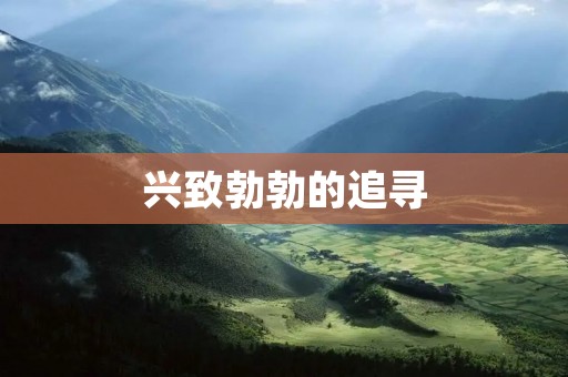 兴致勃勃的追寻