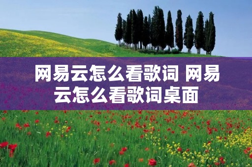 网易云怎么看歌词 网易云怎么看歌词桌面