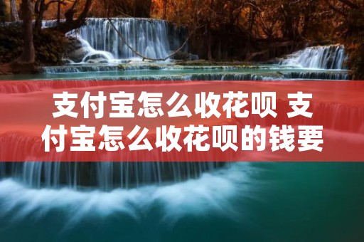 支付宝怎么收花呗 支付宝怎么收花呗的钱要手续费吗