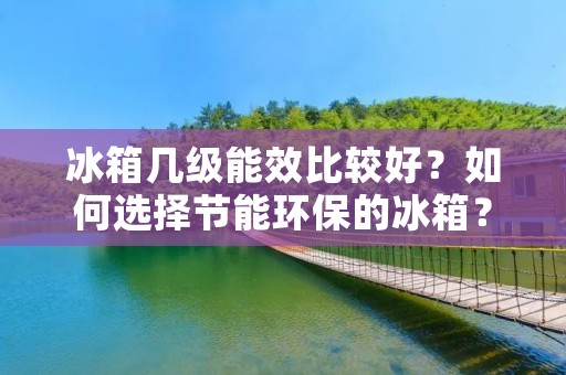 冰箱几级能效比较好？如何选择节能环保的冰箱？
