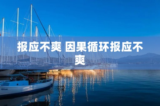 报应不爽 因果循环报应不爽