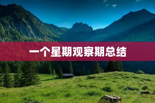 一个星期观察期总结：如何有效地适应新环境