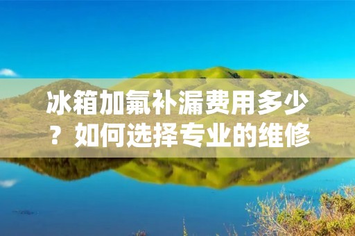 冰箱加氟补漏费用多少？如何选择专业的维修服务？