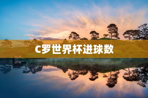 C罗世界杯进球数：一个传奇的统计数字