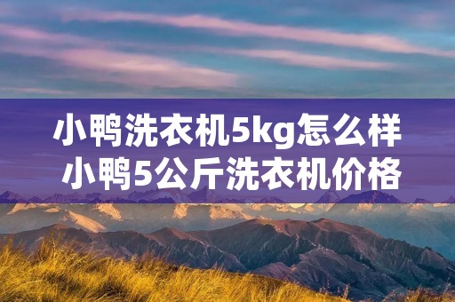 小鸭洗衣机5kg怎么样 小鸭5公斤洗衣机价格
