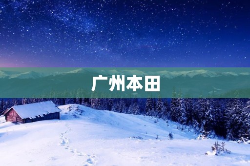 广州本田：追求卓越的汽车品牌
