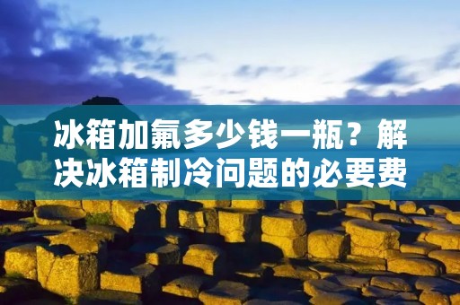 冰箱加氟多少钱一瓶？解决冰箱制冷问题的必要费用