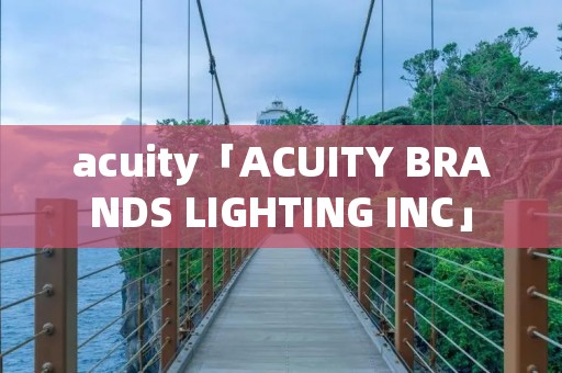 acuity「ACUITY BRANDS LIGHTING INC」