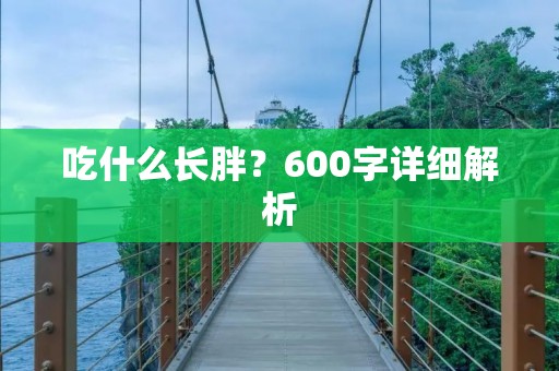 吃什么长胖?600字详细解析 吃什么长胖?600字详细解析