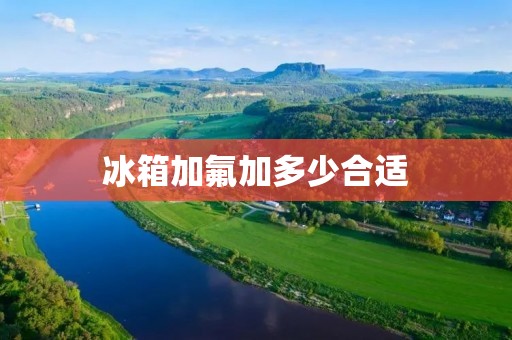 冰箱加氟加多少合适：详细解析