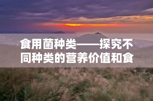 食用菌种类——探究不同种类的营养价值和食用方法
