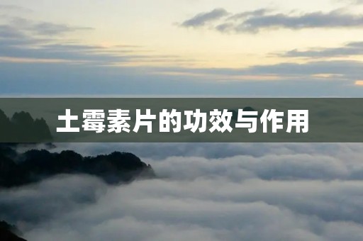 土霉素片的功效与作用:详细解析