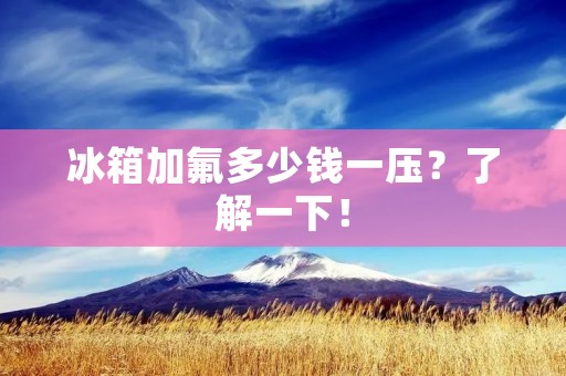 冰箱加氟多少钱一压？了解一下！