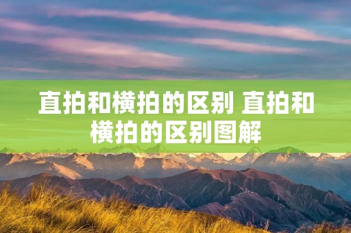 直拍和横拍的区别 直拍和横拍的区别图解