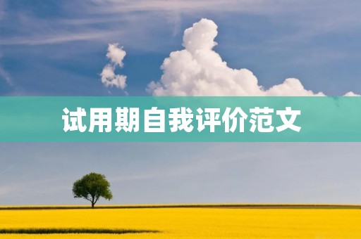 试用期自我评价范文:我在工作中的成长与反思