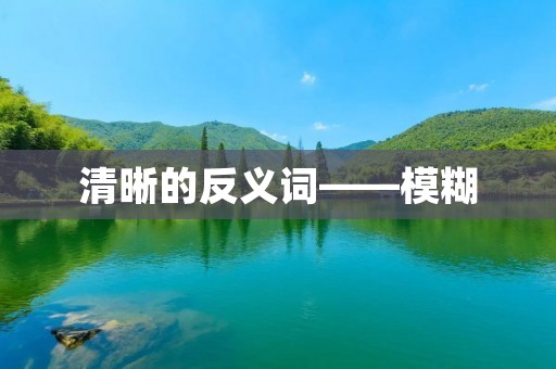 清晰的反义词——模糊