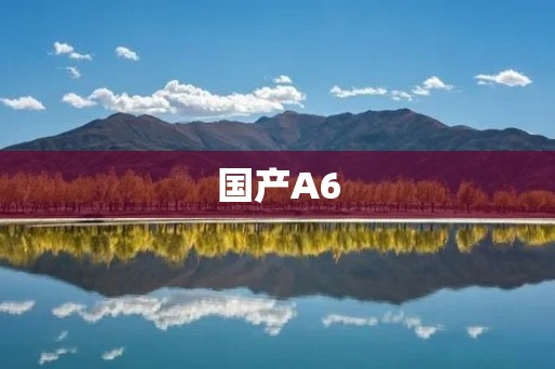 国产A6:品质与性能的完美结合 国产A6:品质与性能的完美结合