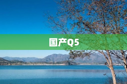 国产Q5:豪华SUV的新选择 国产Q5:豪华SUV的新选择