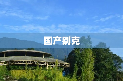 国产别克:崭新的中国制造力量 国产别克:崭新的中国制造力量