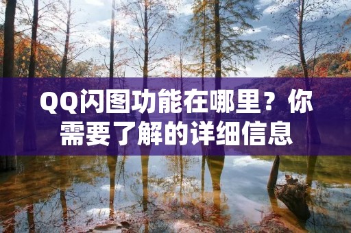 QQ闪图功能在哪里?你需要了解的详细信息 QQ闪图功能在哪里?你需要了解的详细信息