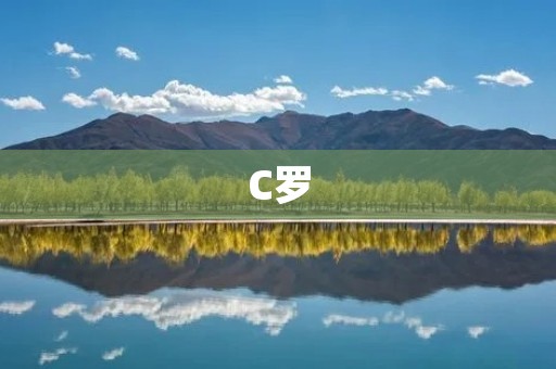 C罗:葡萄牙足球巨星 C罗:葡萄牙足球巨星