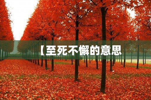 【至死不懈的意思:追求梦想的不懈坚持】