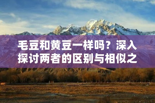 毛豆和黄豆一样吗?深入探讨两者的区别与相似之处