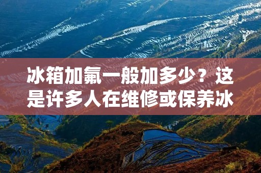冰箱加氟一般加多少？这是许多人在维修或保养冰箱时经常会问到的问题。氟利昂是一种常用的制冷剂，它可以使冰箱内的温度降低，从而延长食物的保质期。但是，如果加氟不当，不仅会影响冰箱的使用寿命，还会对环境造成严重污染。那么，正确的加氟方法是什么？加氟时应该注意哪些问题？本文将从以下几个方面进行详细介绍。
