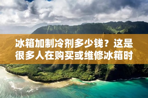 冰箱加制冷剂多少钱？这是很多人在购买或维修冰箱时都会问到的问题。制冷剂是冰箱的核心组成部分，它通过循环往复的方式将热量从冰箱内部排出，从而保持冰箱内部温度的稳定。如果冰箱加制冷剂不足或者制冷剂泄漏，那么冰箱就会失去制冷功能，严重影响到生活质量。