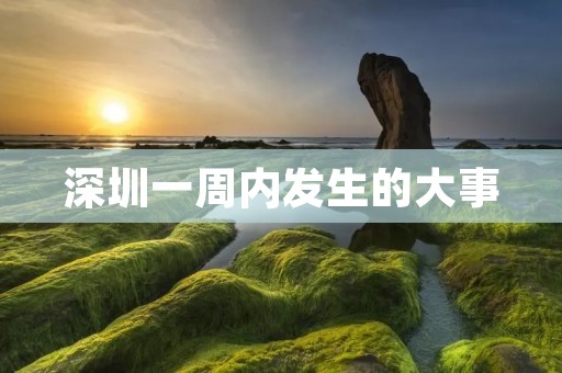 深圳一周内发生的大事