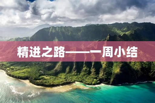 精进之路——一周小结 精进之路——一周小结