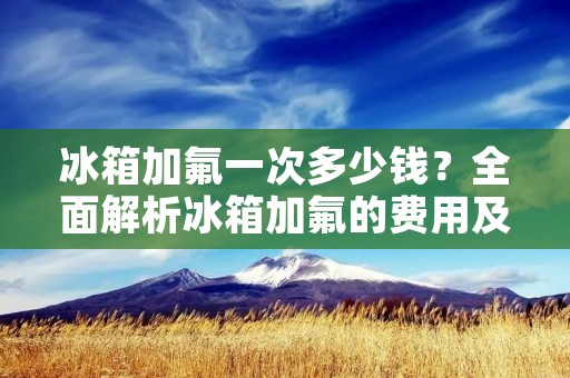 冰箱加氟一次多少钱？全面解析冰箱加氟的费用及注意事项！
