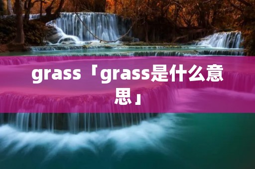 grass「grass是什么意思」 grass「grass是什么意思」