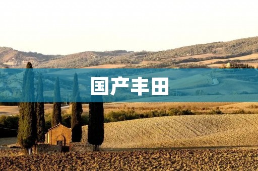 国产丰田：向世界展示中国的汽车制造实力