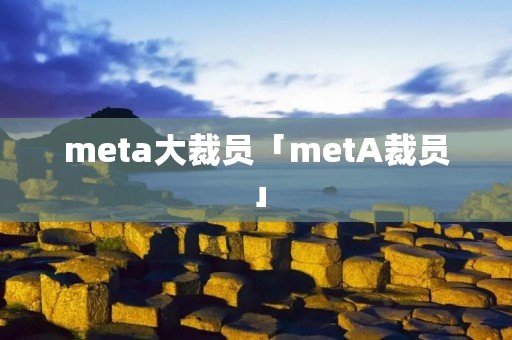 meta大裁员「metA裁员」 meta大裁员「metA裁员」