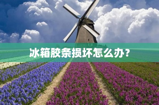 冰箱胶条损坏怎么办？