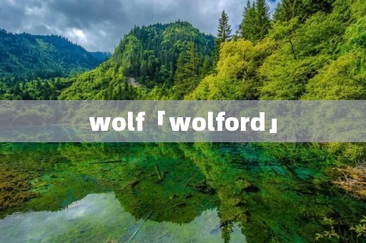wolf「wolford」