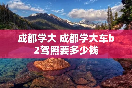 成都学大 成都学大车b2驾照要多少钱