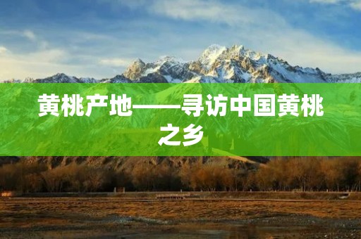 黄桃产地——寻访中国黄桃之乡