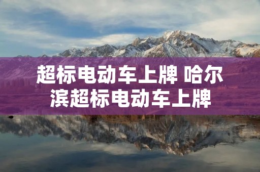 超标电动车上牌 哈尔滨超标电动车上牌 超标电动车上牌 哈尔滨超标电动车上牌