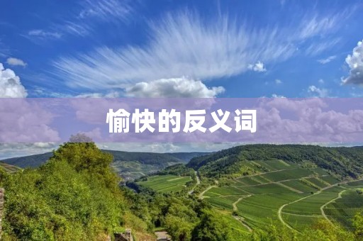 愉快的反义词:悲伤