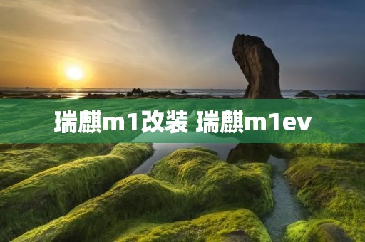 瑞麒m1改装 瑞麒m1ev