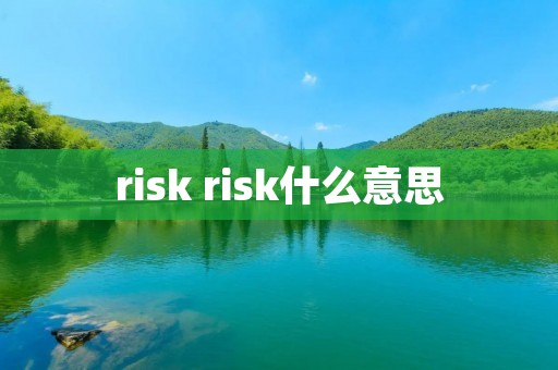 risk risk什么意思