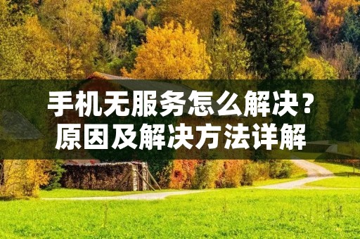 手机无服务怎么解决？原因及解决方法详解