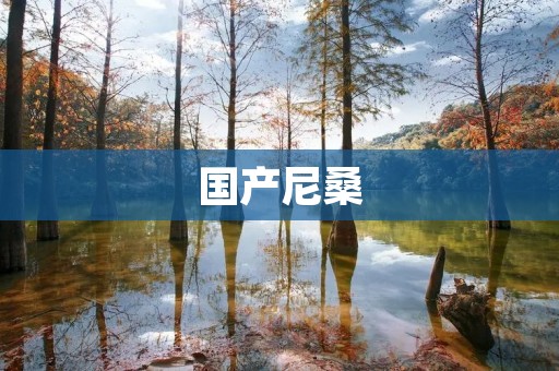 国产尼桑:日系品质在中国大地上的探索 国产尼桑:日系品质在中国大地上的探索