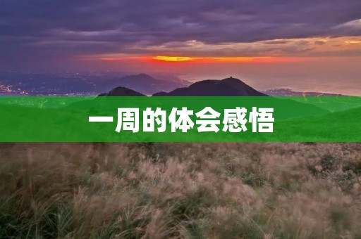 一周的体会感悟 一周的体会感悟